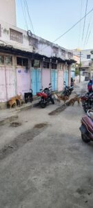 IMG_20260110_173313744_HDR_AE