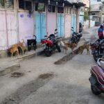 IMG_20260110_173313744_HDR_AE