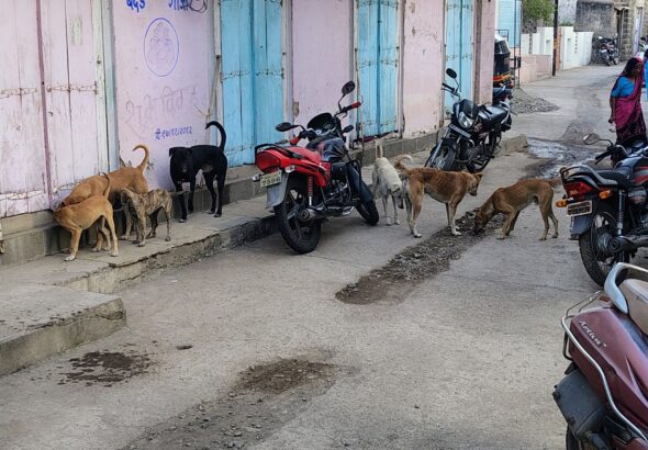 IMG_20260110_173313744_HDR_AE