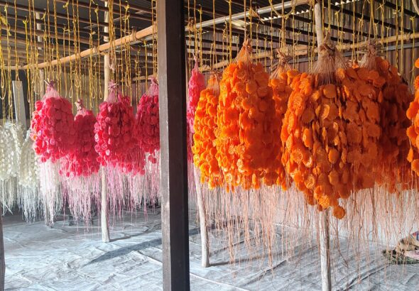 IMG_20260305_101319972_HDR_AE