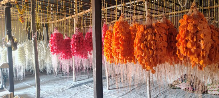 IMG_20260305_101319972_HDR_AE